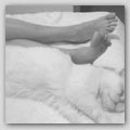 barefeet & cat