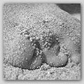 sand feet